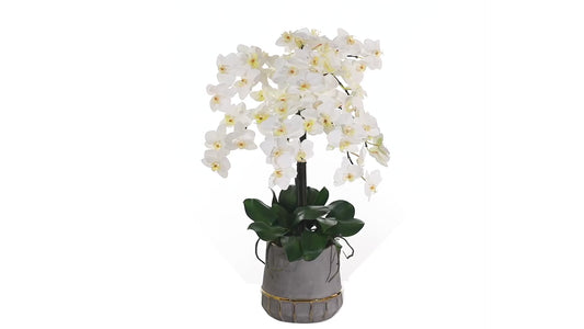 26” Phalaenopsis Orchid Artificial Arrangement In Stoneware Vase With Gold Trimming
