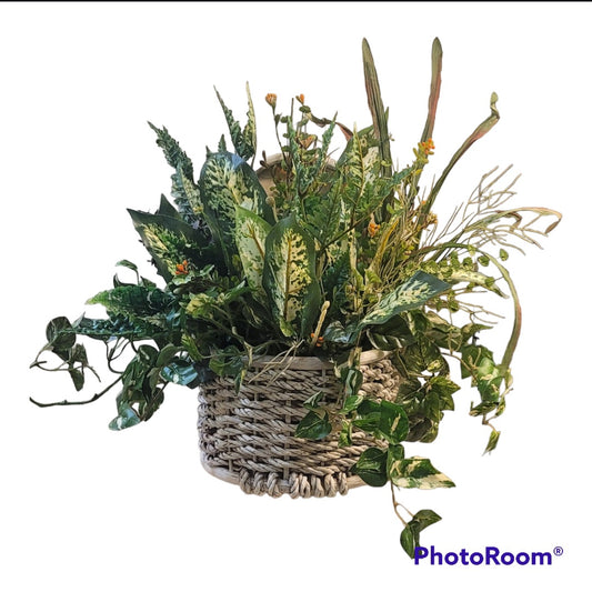 Mixed Greens in White Wooden Basket