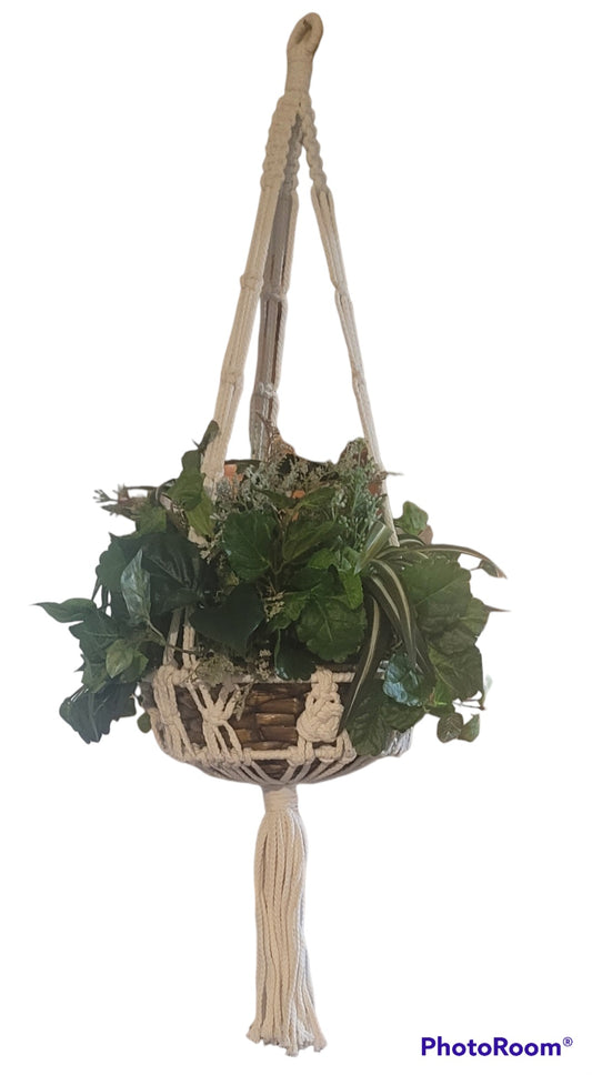Large Mixed Greens In Hanging Basket